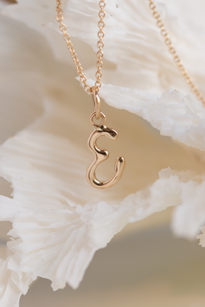 Custom Design ~ "E" Pendant