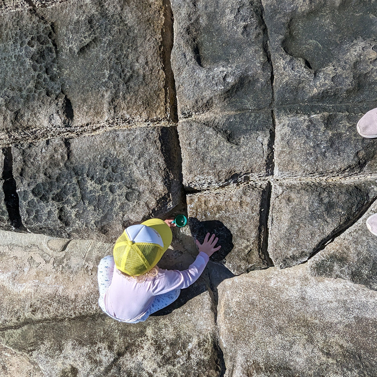 Alexandra Mosher's daughter plays on The Checkerboard at Spittal Pond Nature Reserve