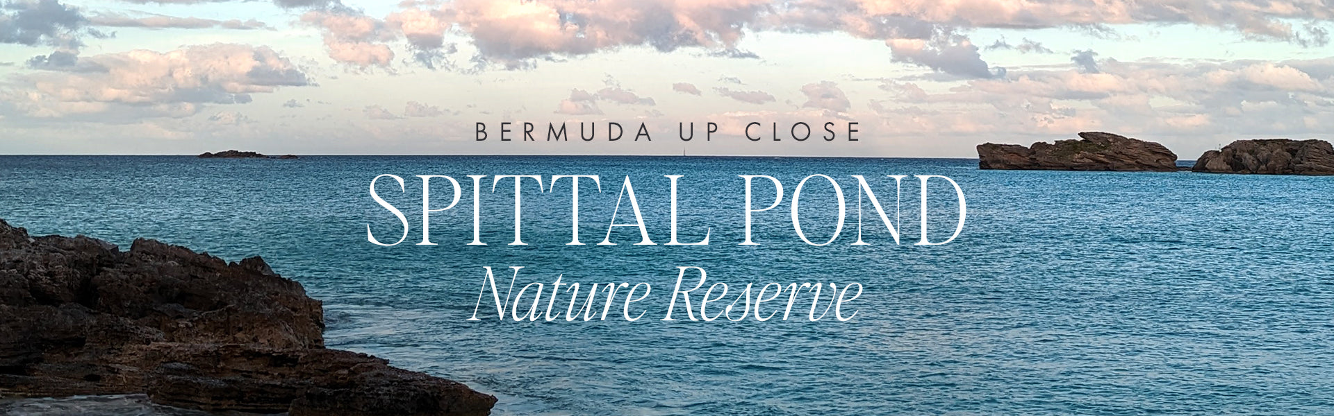 Bermuda Up Close : Spittal Pond Nature Reserve